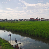 Hunan- Rice Farm