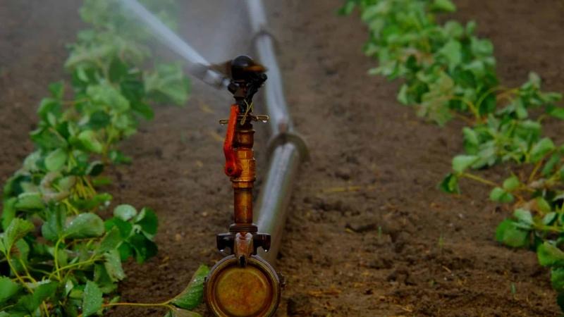 sprinkler based irrigation