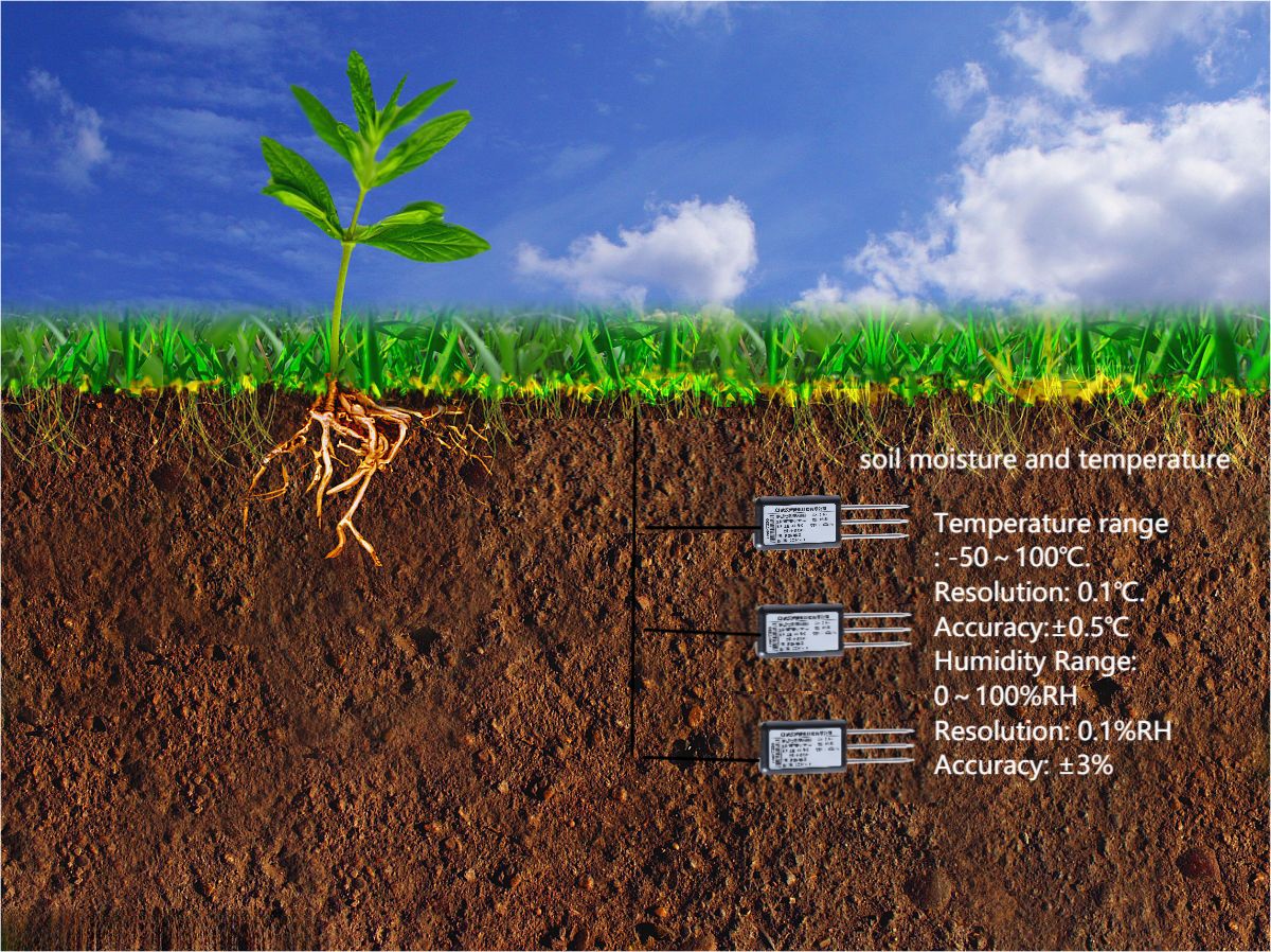 soil moisture monitoring