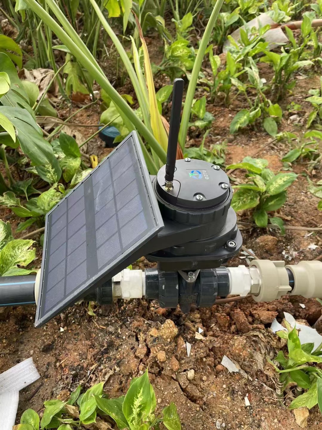 IoT/LoRa/4G Smart Drip Irrigation Using Solar Energy