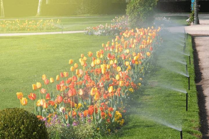  Park Garden Irrigation 