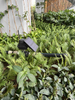 Solar Power Automatic Open Air Farm Irrigation Water Timer