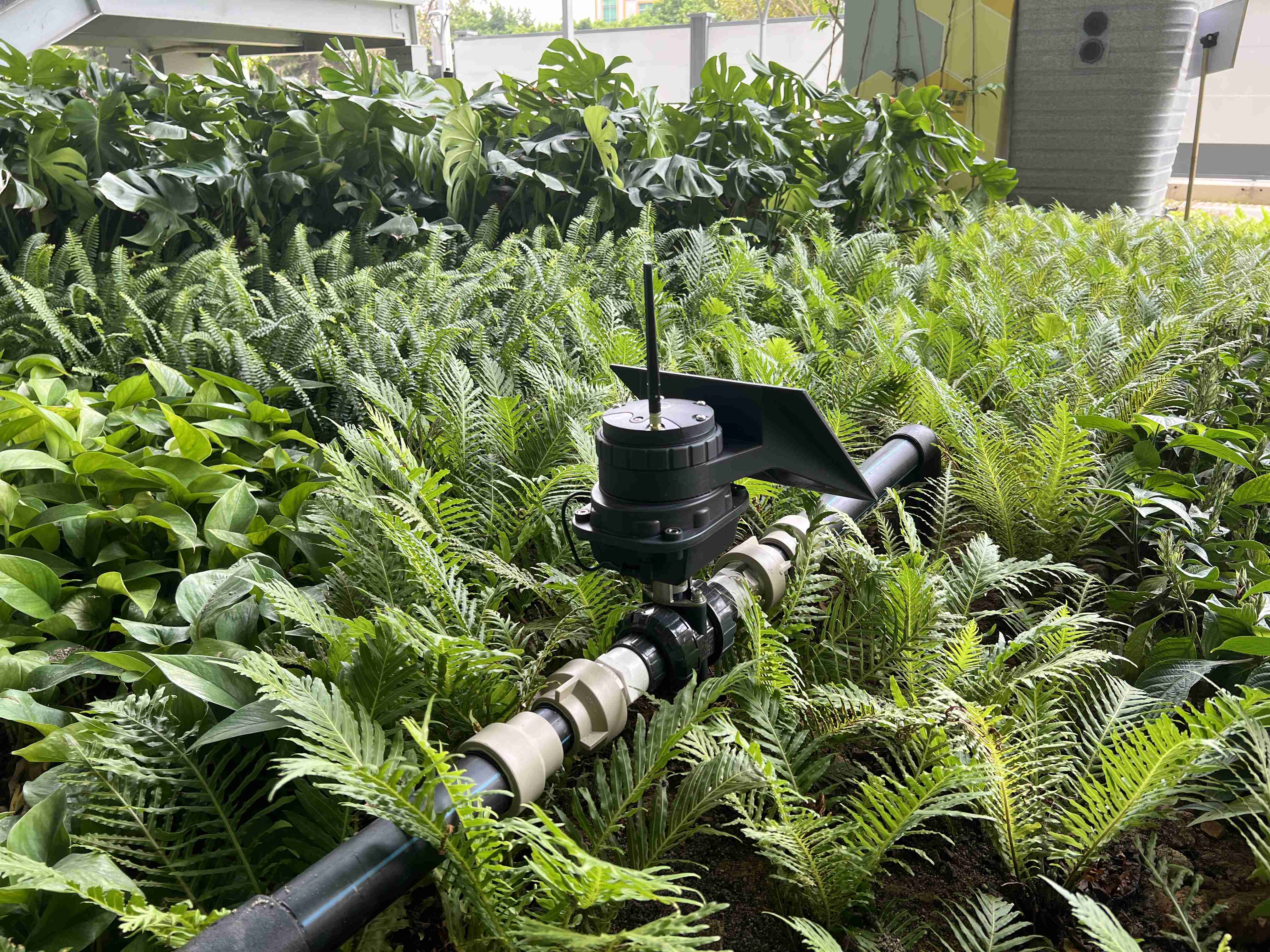Central IoT Based Irrigation Control System For Orchard
