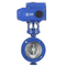 Electric Butterfly Valve