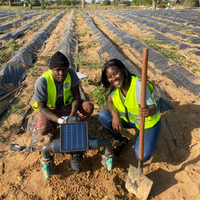Senegal - Peanut Farm