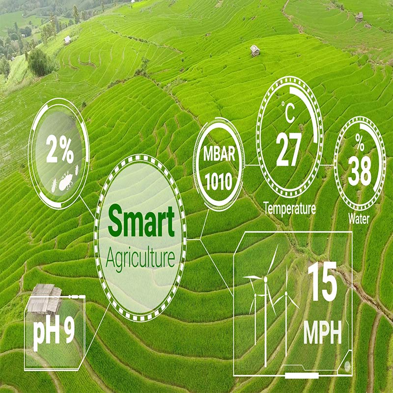 soil moisture monitoring